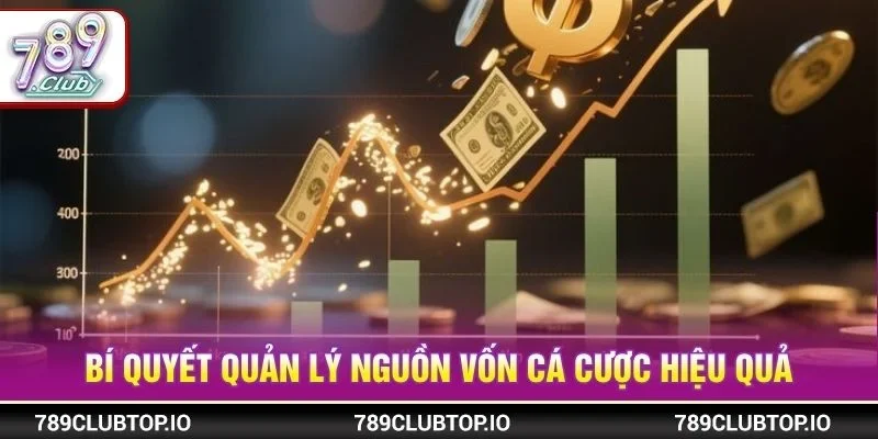 Bí quyết quản lý nguồn vốn cá cược hiệu quả